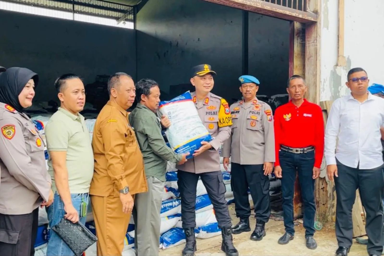 Dukungan Nyata Pemkab Sumenep untuk Petani, 655 Kelompok Tani Terima Bibit Jagung Unggul (Ilustrasi)
