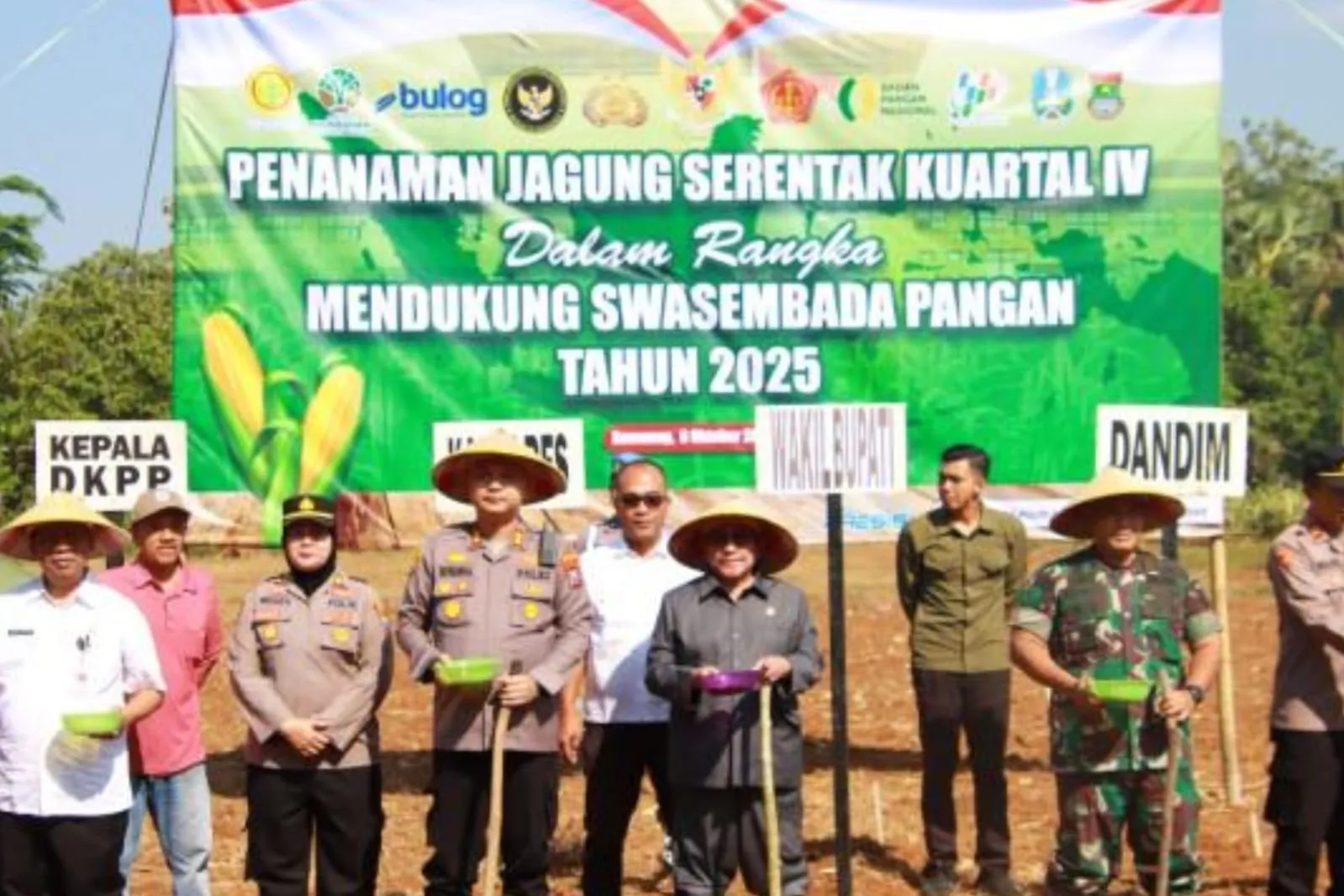 Forkopimda Sumenep Gelar Gerakan Tanam Jagung Serentak, Dukung Swasembada Pangan (Ilustrasi)