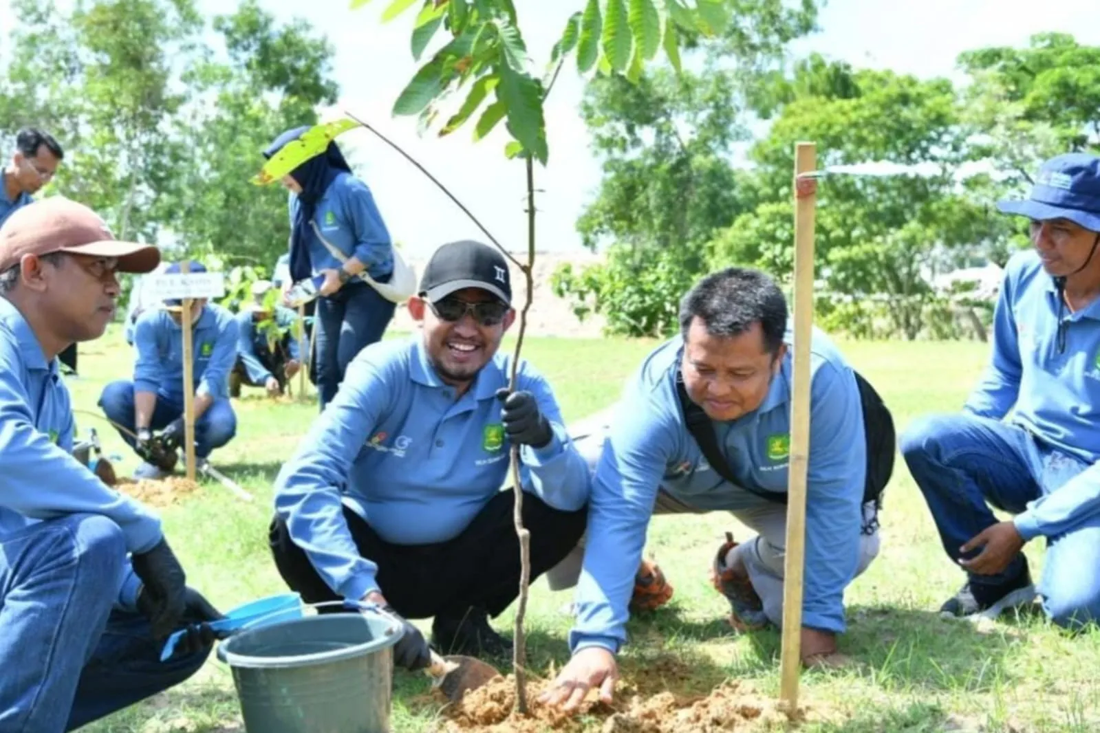 Pemkab Sumenep Tanam Pohon, Bupati Fauzi: Bentuk Investasi Lingkungan (Ilustrasi)