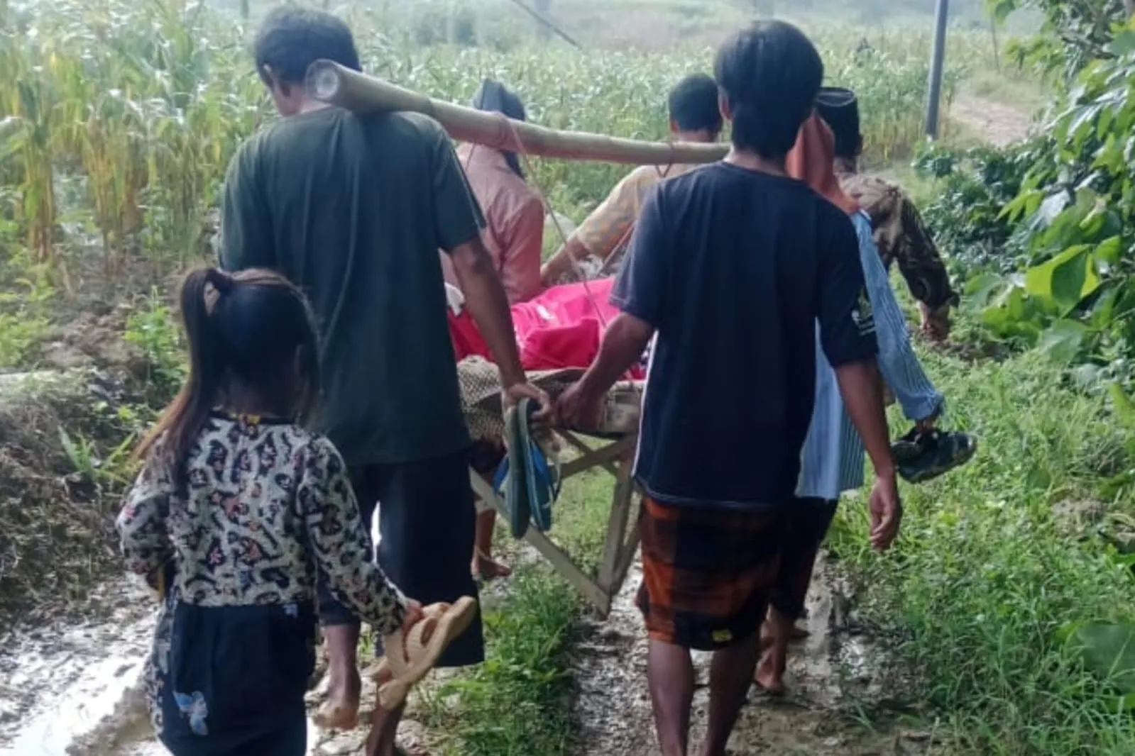 Miris, Jalan Rusak Parah Warga Sakit di Desa Montorna Terpaksa Digotong ke Puskesmas (Ilustrasi)