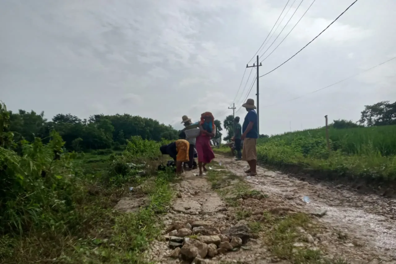 Warga Montorna Inisiatif Perbaiki Jalan Rusak, Koordinator: "Kami Sudah Terlalu Lama Menunggu Pemerintah" (Ilustrasi)