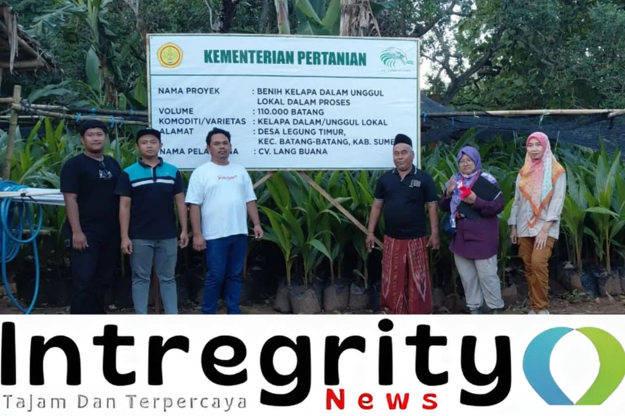 Sumenep Siap Menopang Industri Kelapa Jatim, Puluhan Ribu Bibit Bersertifikat Disiapkan untuk Hilirisasi (Ilustrasi)